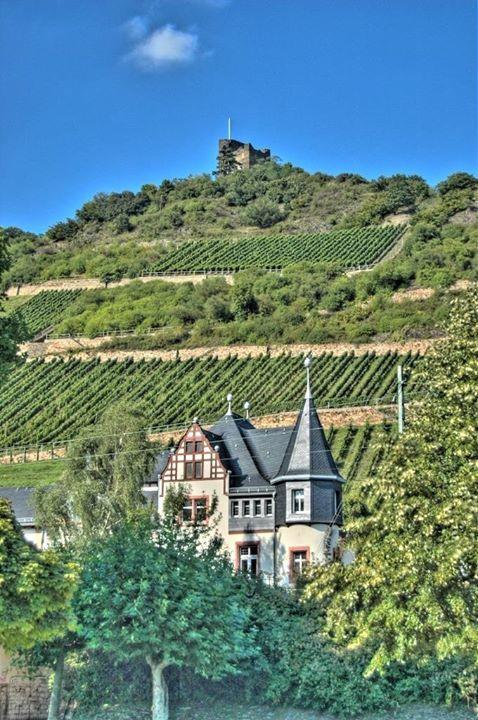 Wohnen Im Burghotel Lorch am Rhein Exterior photo