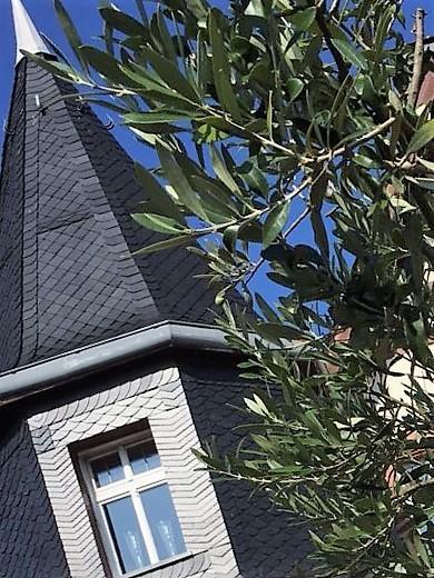 Wohnen Im Burghotel Lorch am Rhein Exterior photo